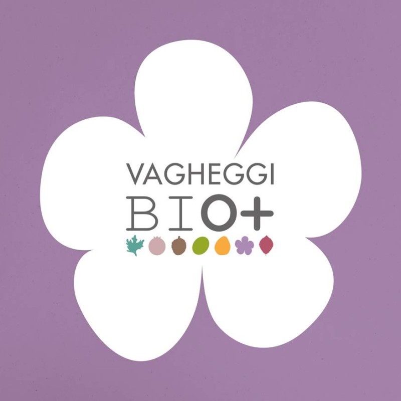 Immagine16
